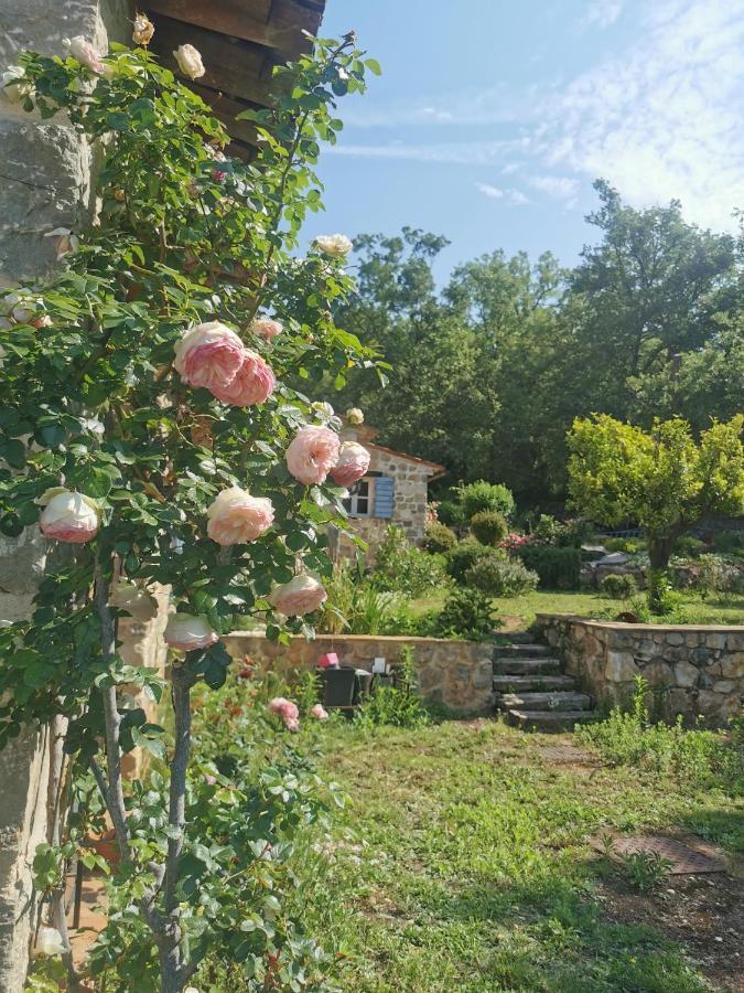 Domaine Geodora, Parfumeur En Provence Villa Montauroux Kültér fotó