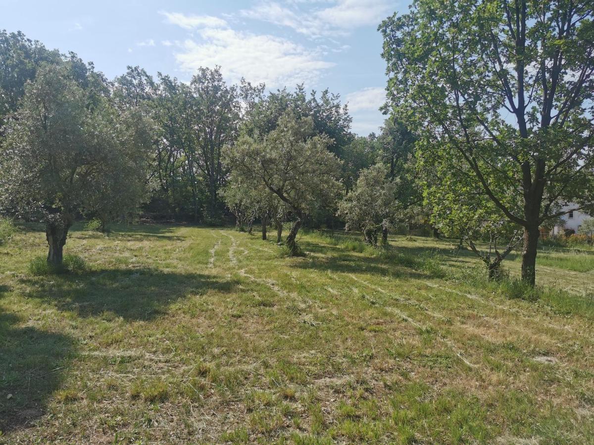 Domaine Geodora, Parfumeur En Provence Villa Montauroux Kültér fotó