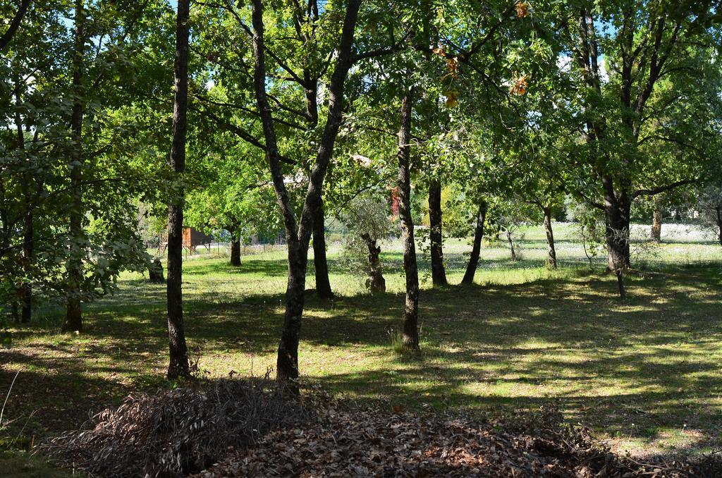 Domaine Geodora, Parfumeur En Provence Villa Montauroux Kültér fotó
