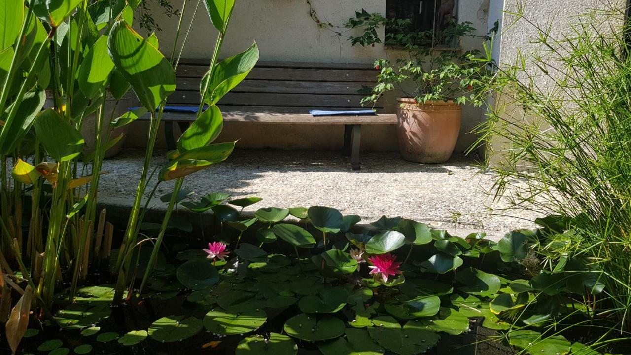 Domaine Geodora, Parfumeur En Provence Villa Montauroux Kültér fotó